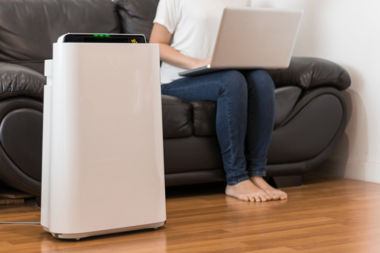 Do Air Purifiers Work?  How Your Device Plays a Factor