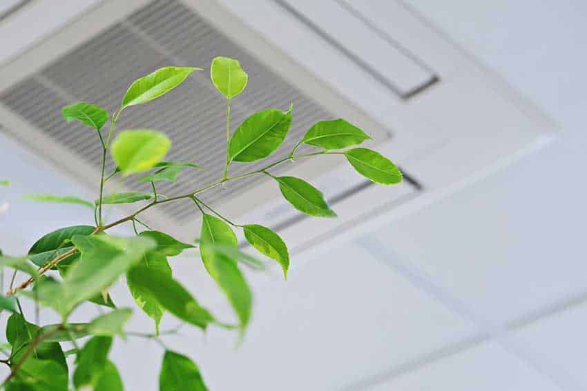 indoor-air-quality in Wesley Chapel